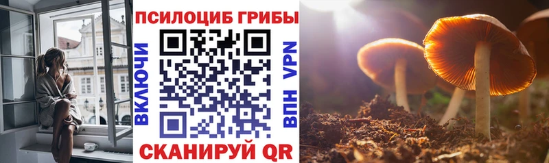 Галлюциногенные грибы Cubensis  OMG tor  Ростов 